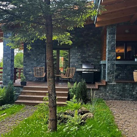 Bazalt Wellness Villa Harghita-Băi Exteriör bild